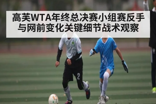 高芙WTA年终总决赛小组赛反手与网前变化关键细节战术观察