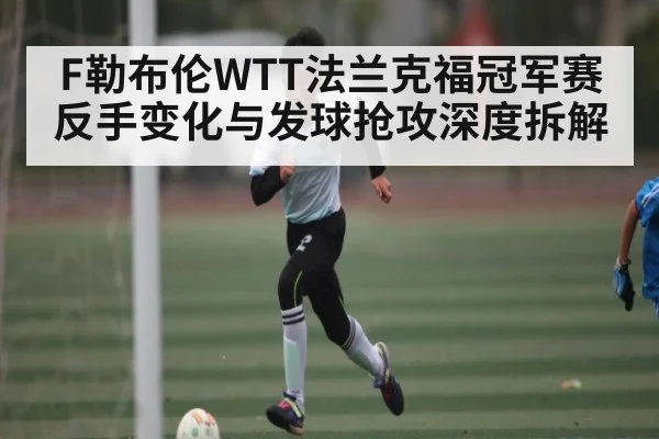 F勒布伦WTT法兰克福冠军赛反手变化与发球抢攻深度拆解