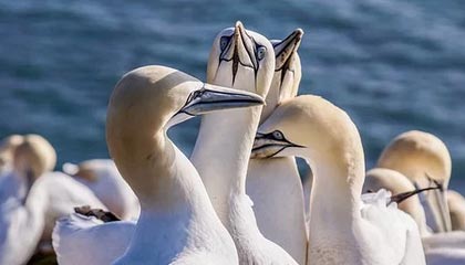 星空体育中国-乒超女团决赛山东再遇深圳 王曼昱：放下包袱去拼